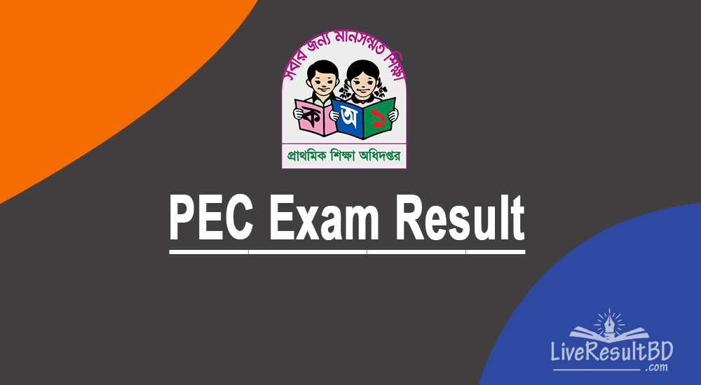 PEC Exam Result 2021 [Primary Education Board Result]