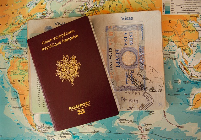 passport-gafbe250ad_640